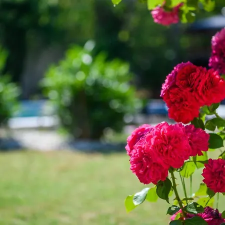 Prázdninový dům Haus Rustica *