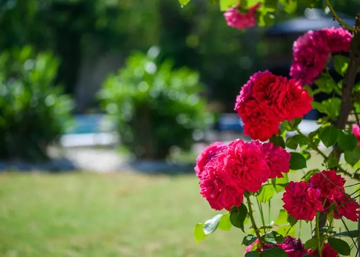Hébergement de vacances Haus Rustica *